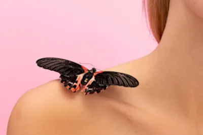 Conoce los 5 significados poderosos de una mariposa dentro de tu hogar