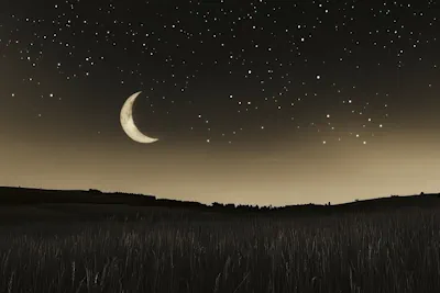 ¡Luna Nueva y tu Signo! Descubre su Poder Transformador